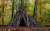wooden hut