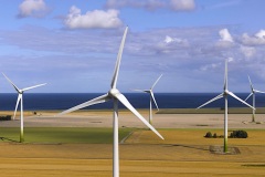 windfarm