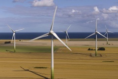 windfarm