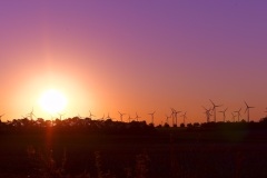 windfarm