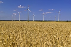 windfarm