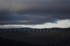 windfarm