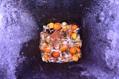 organic waste garbage can