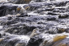 wild river